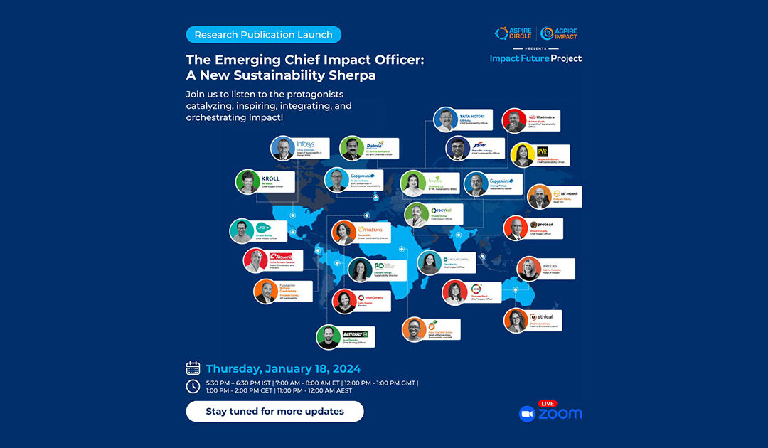 The Emerging Chief Impact Officer: A New Sustainability Sherpa